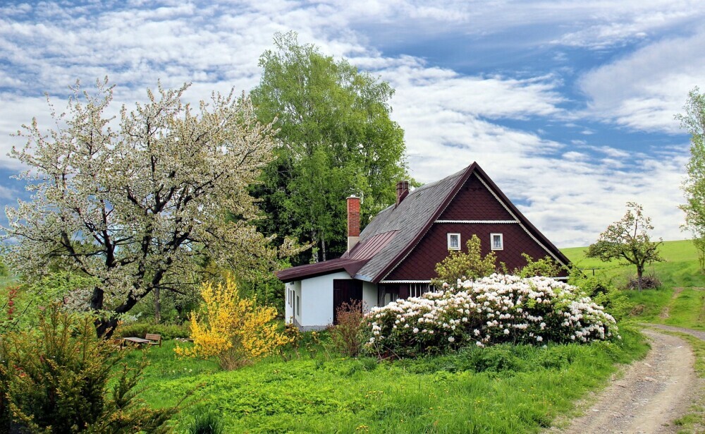Slovenian Traditional House