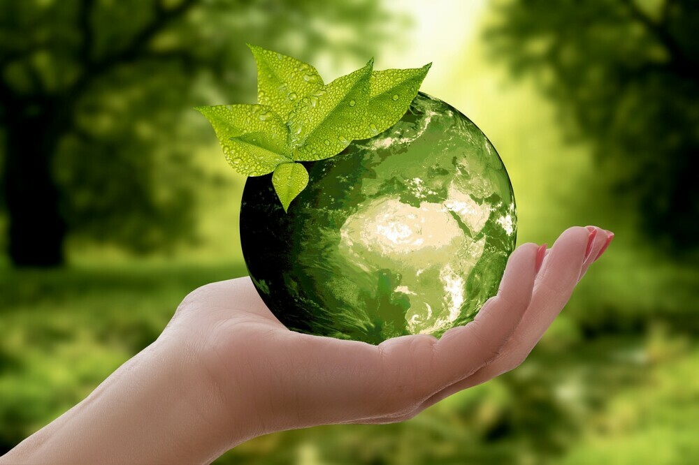 Sustainable Building Materials for Holiday Homes