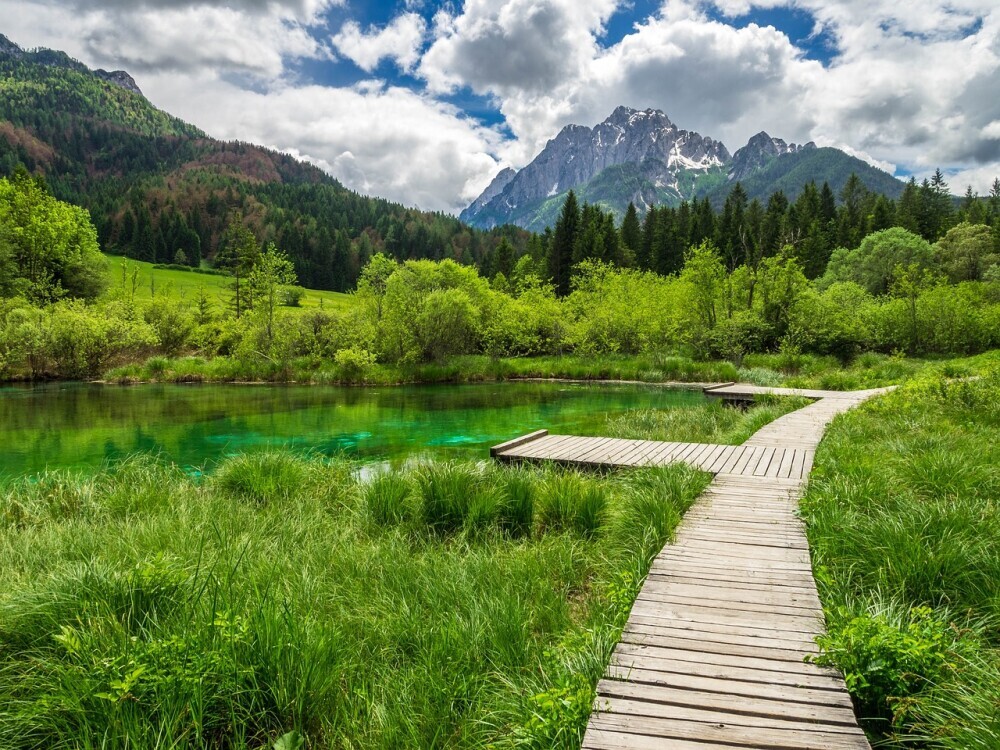 Tips for a Relaxing Stay at Your Holiday Home in Spodnja Kapla
