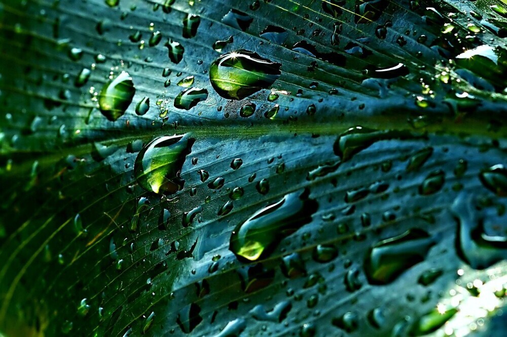 Rainwater Harvesting Systems for Holiday Homes